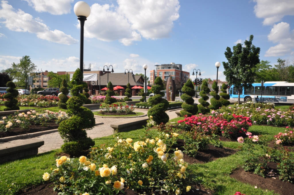 Manicured public garden space.