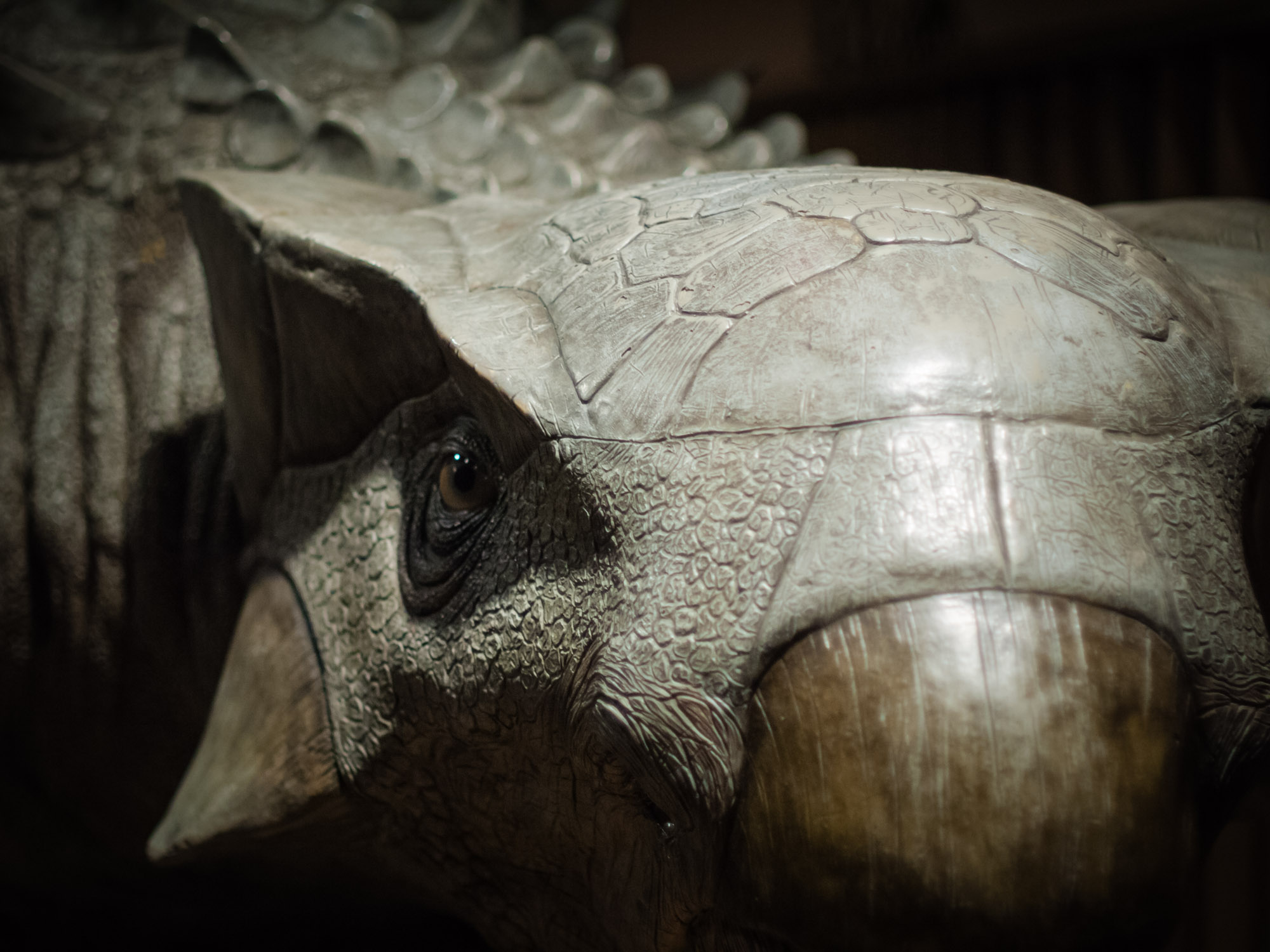 Photograph of Ankylosaurus sculpture at the Cincinnati Museum Center.