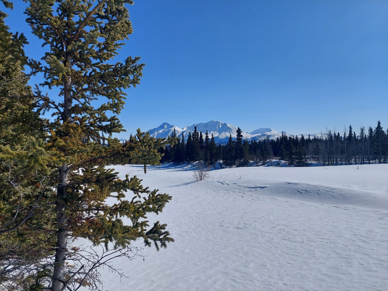 Kluane Ranges