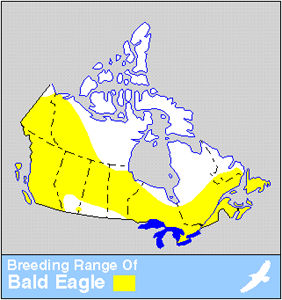 Bald Eagle Distribution