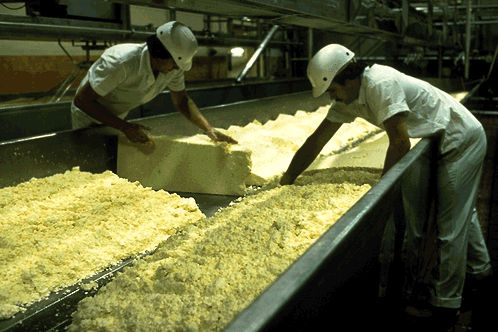 Cheese and Cheese Making