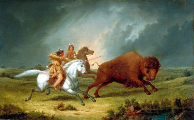 Assiniboine Hunting Buffalo