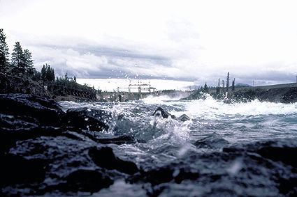 Whitehorse Rapids