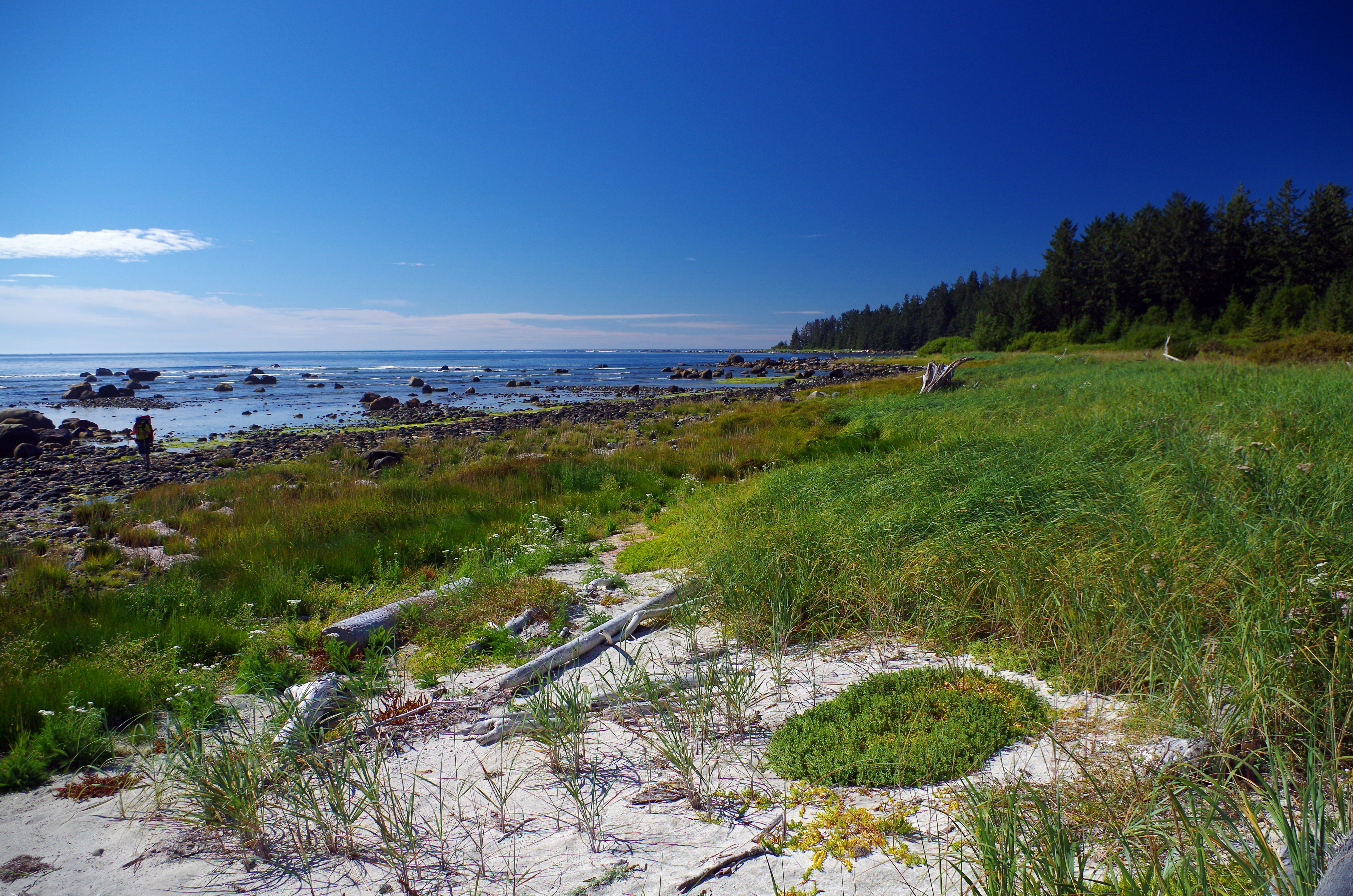 Hesquiaht Peninsula