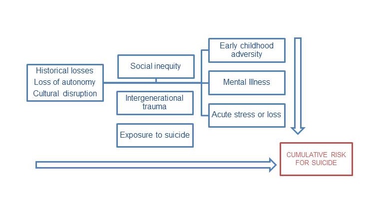 Suicide Risk Factors