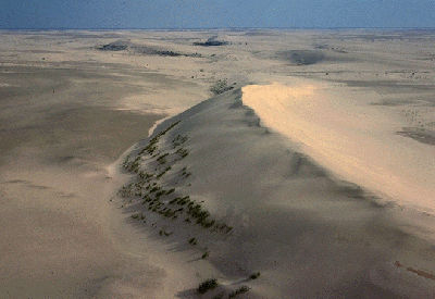 Dunes de sables (Athabasca)