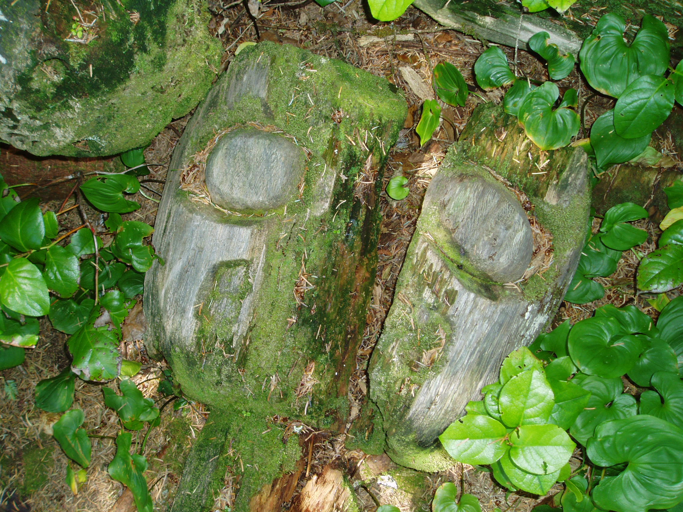 Battle Bay Totem