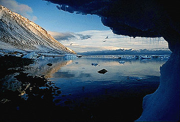 Grise Fiord