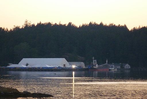 MV Sun Sea