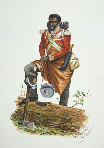 Black Soldier