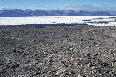 Hans Island