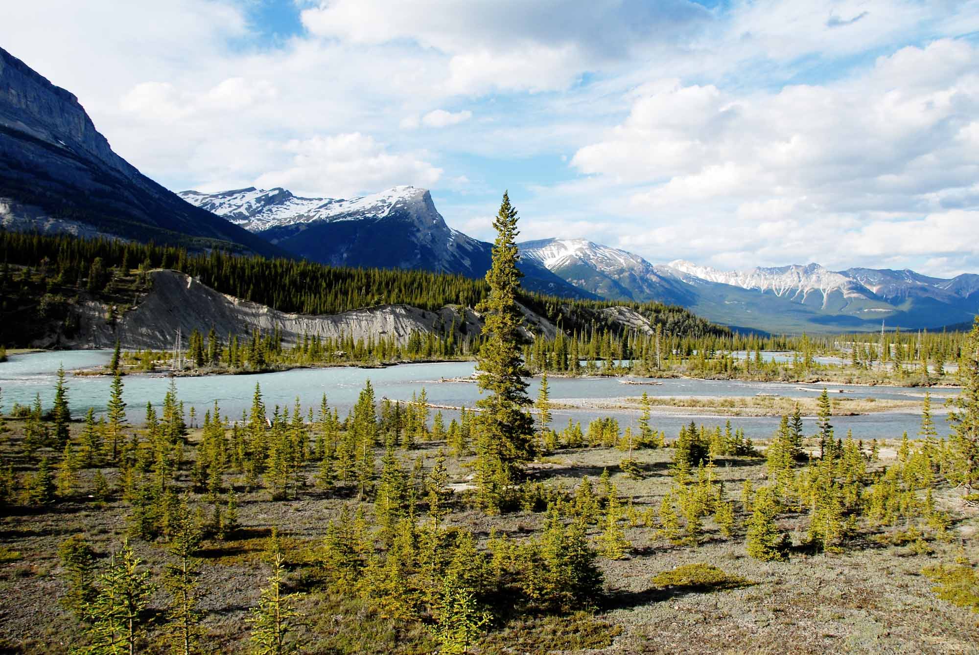 Rivière Saskatchewan Nord