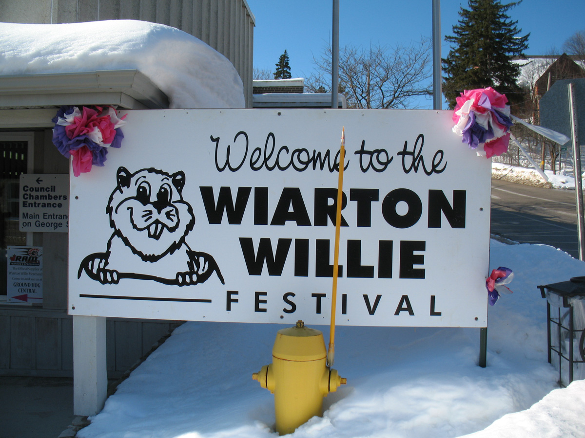 Wiarton Willie Festival