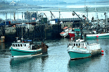 Bateaux de pêche