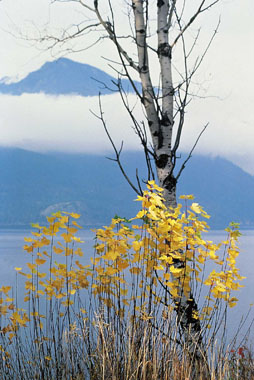 Slocan Lake