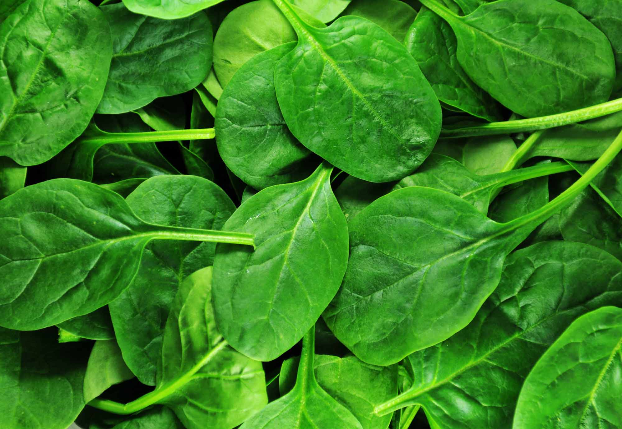 Spinach