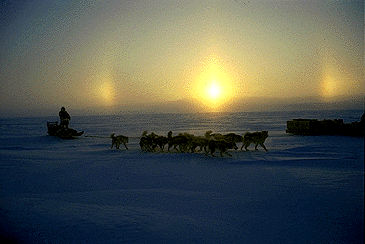 Sun Dogs