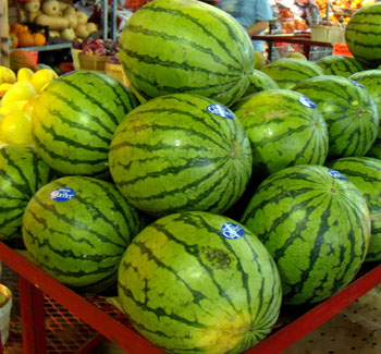 Melon