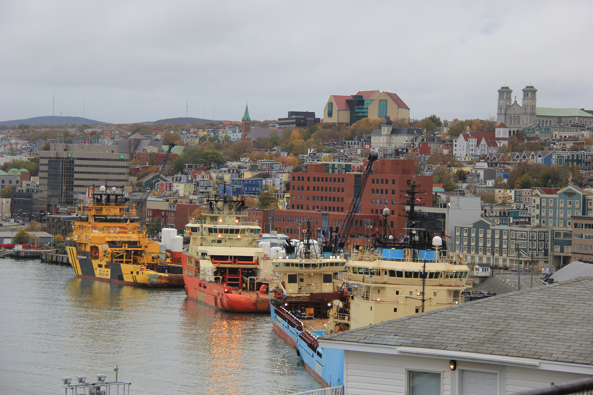 St. John's Cityscape