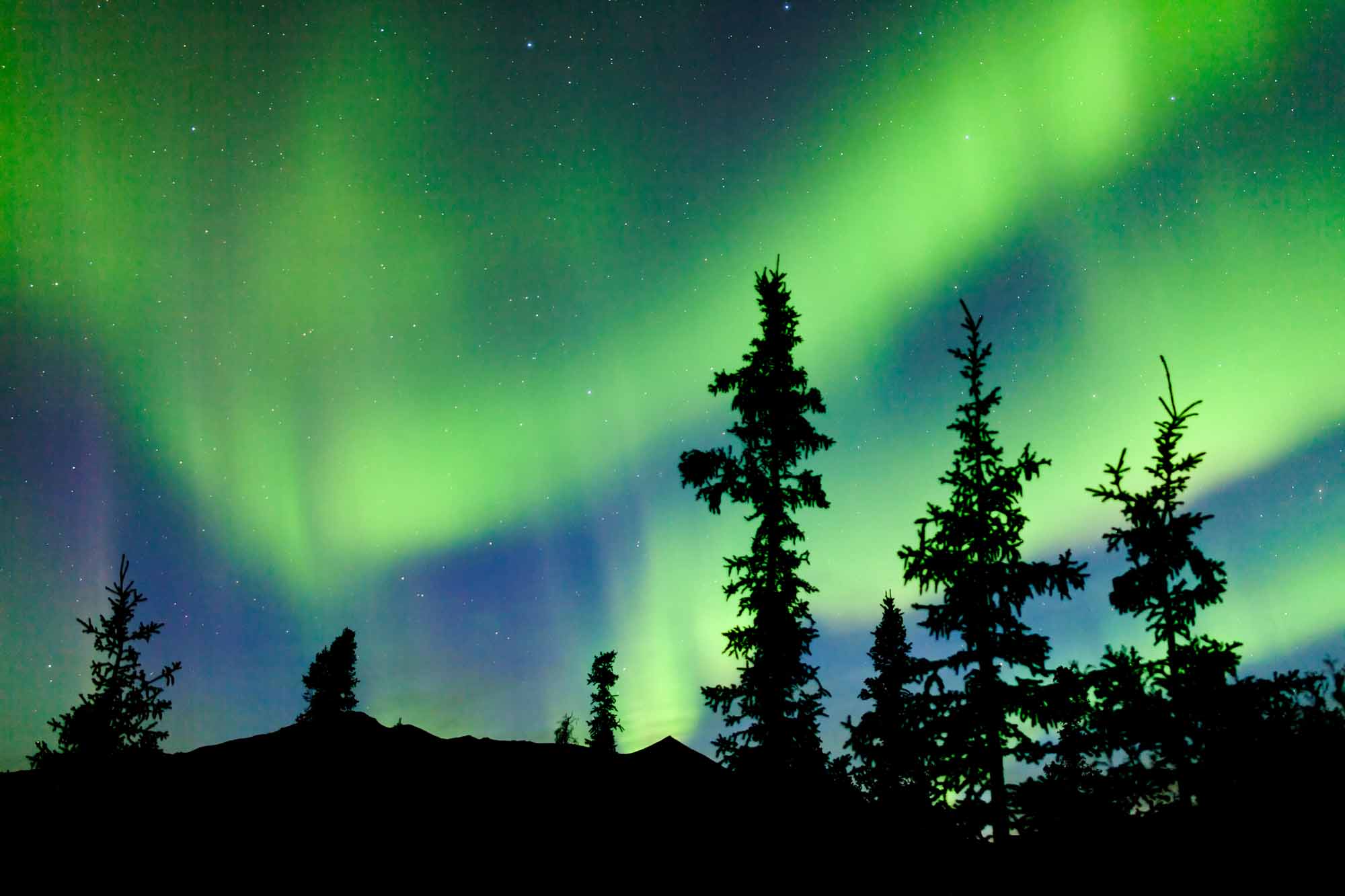 Northern Lights