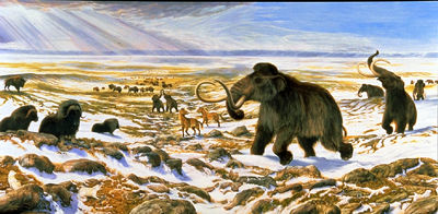 Woolly Mammoth