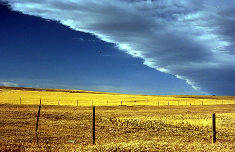 Chinook Arch