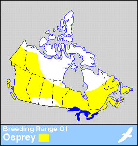 Osprey Distribution
