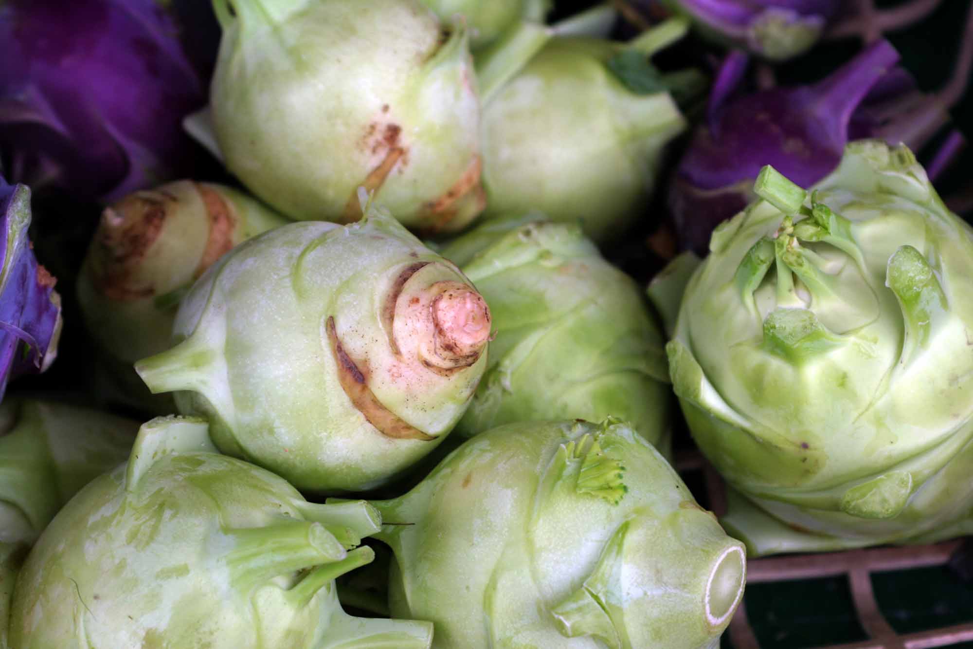 Kohlrabi