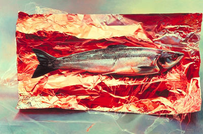 « Silver Fish on Crimson Foil »