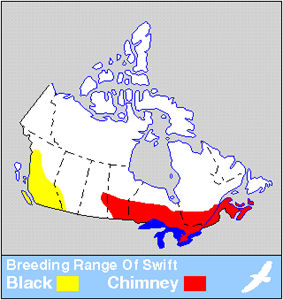 Black & Chimney Swift Distribution