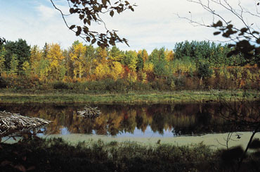 Elk Island, parc national