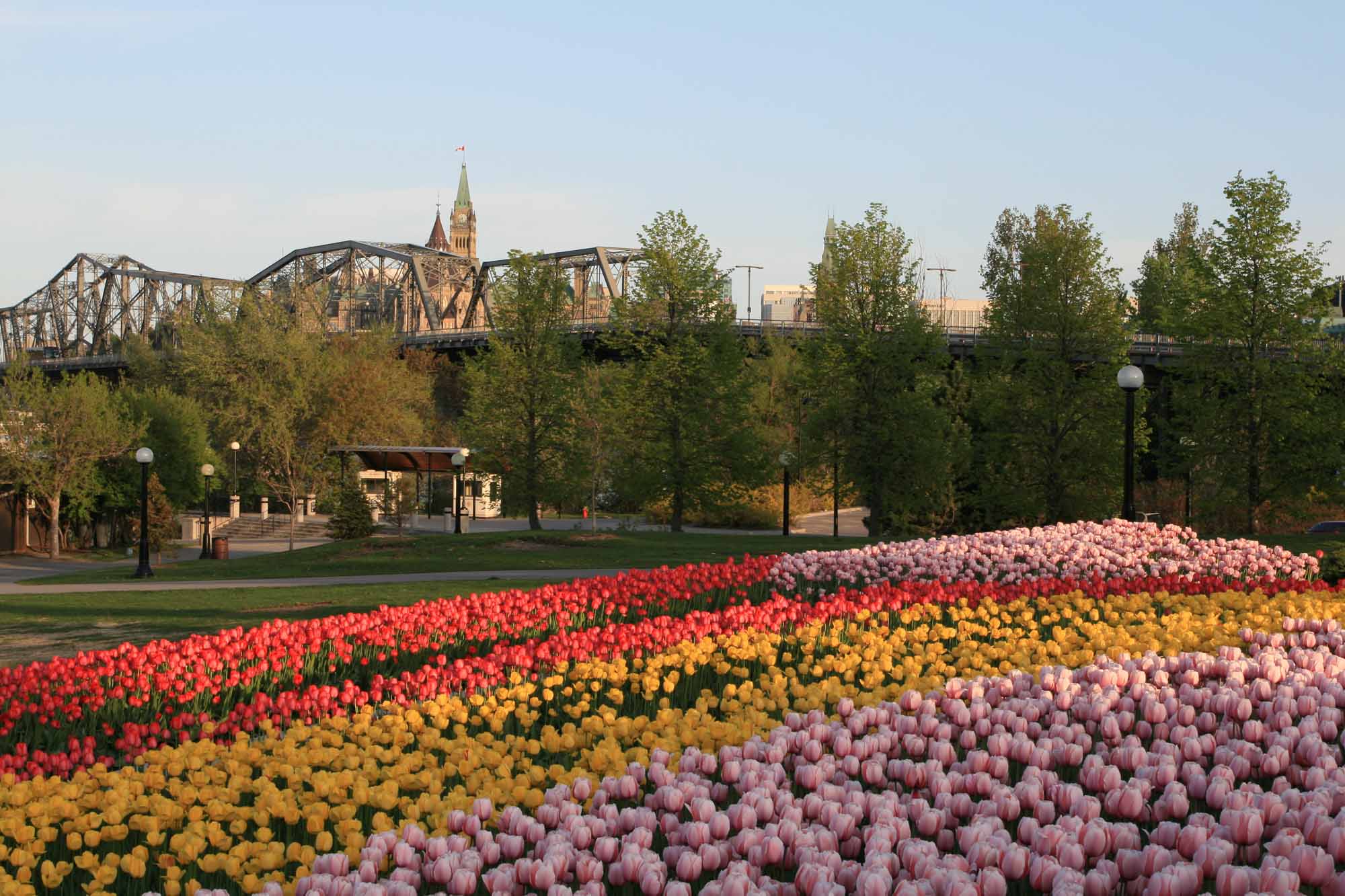 Festival canadien des tulipes