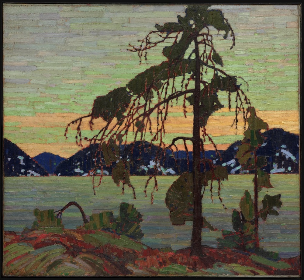 Artwork by Tom Thompson of a jack pine.