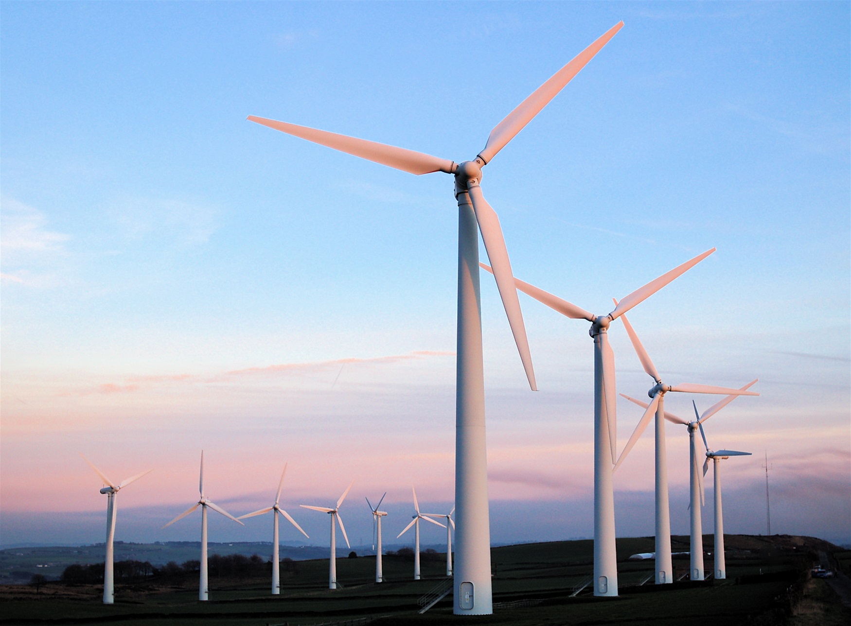 A dozen wind turbines.